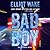 Bad Boy