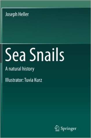 Sea Snails: A natural history (Hardcover)