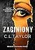 Zaginiony