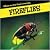 Glow-in-the-Dark Fireflies