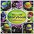 Nickelodeon Teenage Mutant Ninja Turtles Storybook Collection