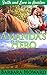 Amanda's Hero: A Christian ...
