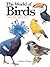 The World of Birds by Michael  Wright