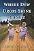 Where Dew Drops Shine Bright: A Dramatized Family History (Tall Cotton Rising Book 1)