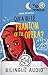 Qui a vu le Phantom of the Opera ? - collection Tip Tongue - A1 découverte - dès 10 ans (French Edition)