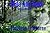 Hide And Seek (Rutledge Werewolf Book 2)