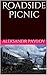 Roadside Picnic