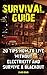 Survival Guide: 20 Tips How To Live Without Electricity And Survive A Blackout: (Home Defense, Economic Collapse, Bug out bag, Bushcraft, Prepping) (Survival Skills)