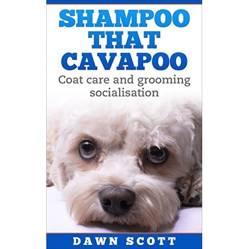 best shampoo for cavapoo