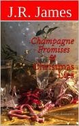 Champagne Promises & Christmas Lies (Unknown Binding)