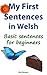 My First Sentences in Welsh...