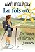 La fois où... j'ai suivi les flèches jaunes by Amélie Dubois