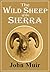 The Wild Sheep of the Sierrra (1881)