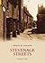 Stevenage Streets by Margaret Ashby