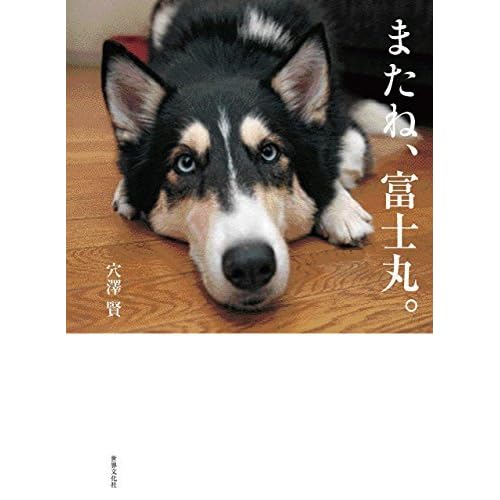 またね 富士丸 By 穴澤 賢