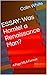ESSAY: Was Hamlet a Renaissance Man?: 4 Page MLA Format