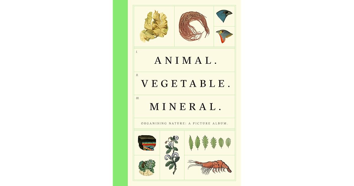 Animal Vegetable Mineral Organised Nature by Collection