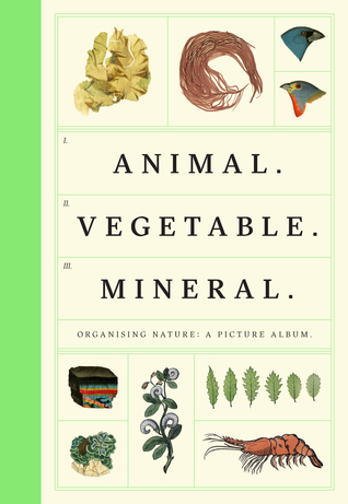 Animal Vegetable Mineral: Organised Nature (Hardcover)