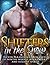 Shifters in the Snow: Paranormal Romances of Winter Wolves, Merry Bears, and Holiday Spirits