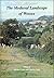 The Medieval Landscape of W...