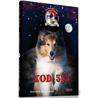 Kod 513 (Flingan & flocken #2)