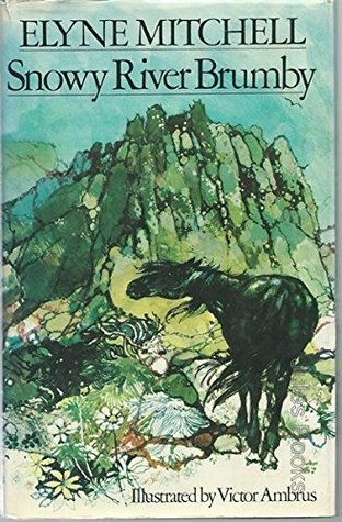 Snowy River brumby (Paperback)