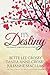 It's Destiny: Three Romantic Women's Fiction Love Stories