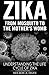 Zika, From Mosquito To The Mother's Womb