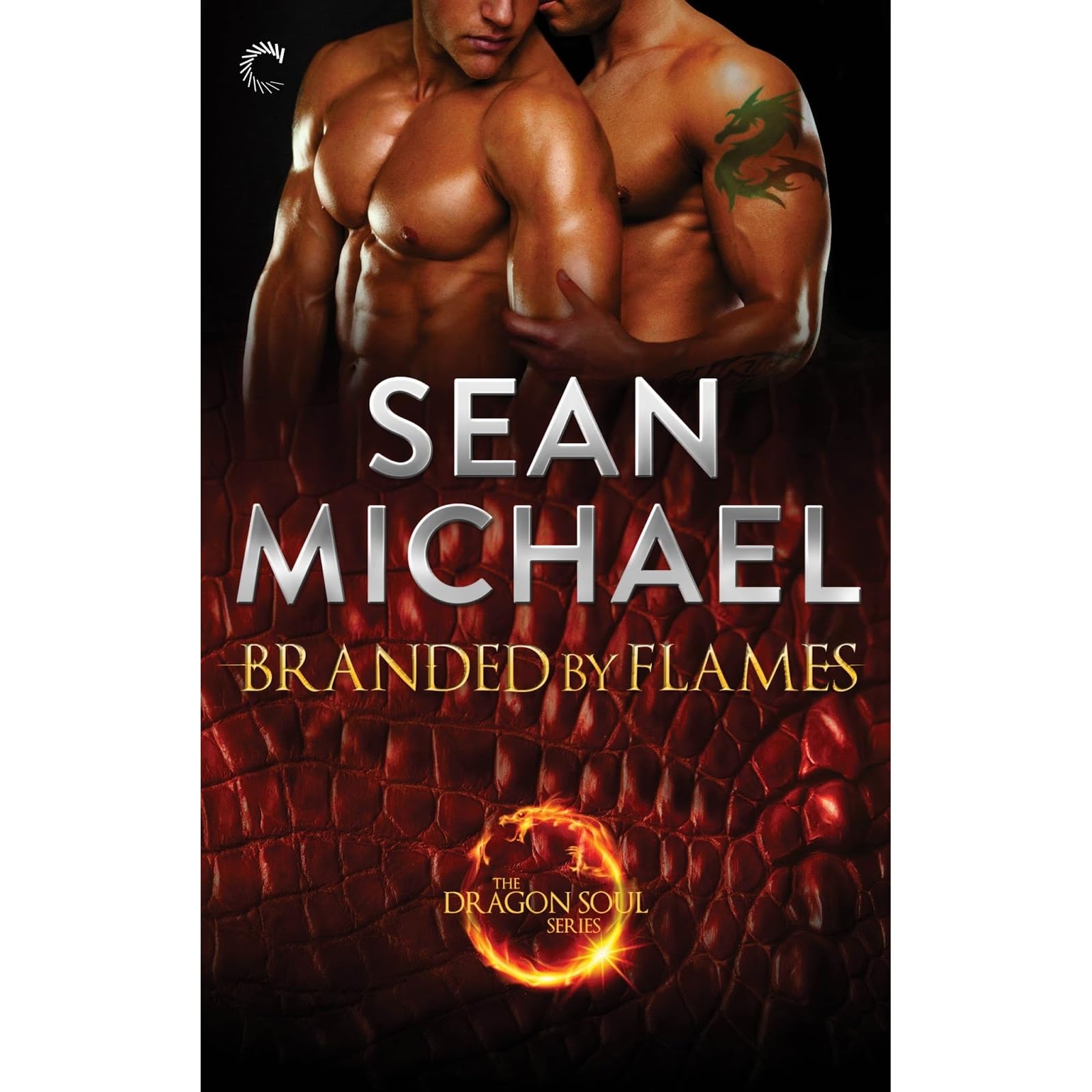 Branded by Flames (Dragon Soul, #1) by Sean Michael