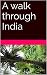 A walk through India by Sarah Ninham