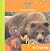 O urso (Animais do Mundo #4)