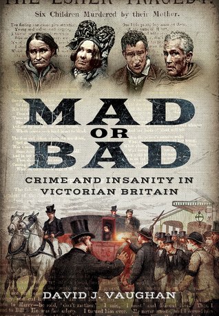 Mad or Bad: Crime and Insanity in Victorian Britain (Paperback)