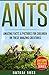 Ants: Amazing Facts & Pictu...
