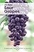 Sour Grapes (Cambridge Philosophy Classics)