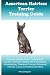 American Hairless Terrier T...
