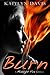 Burn (Midnight Fire #5)