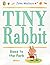 Tiny Rabbit Goes To The Park