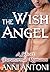 The Wish Angel: A Short Paranormal Romance (Urban Guardians)