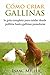 Cómo criar gallinas: la guía completa para cuidar desde pollitos hasta gallinas ponedoras (Spanish Edition)