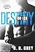 Destiny on Ice (Boys of Winter #1)