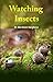 Watching Insects