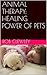 Animal Therapy: Healing Power of Pets