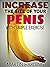 Natural Penis Enlargement: Increase the size of your penis naturally