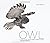 Owl: A Year in the Lives of...