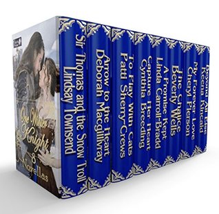 One Winter Knight (Kindle Edition)