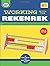 Working with the Rekenrek