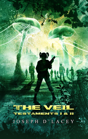 The Veil