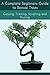 A Complete Beginners Guide to Bonsai Trees: Growing, Trimming, Sculpting and Pruning: Bonsai Tree Care Guide: Guide to Looking After a Bonsai Tree