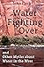 Water is for Fighting Over:...