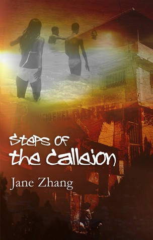 Steps of the Callejon (Paperback)